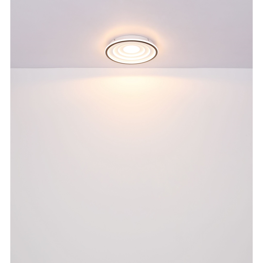 Globo - Стельовий LED світильник LED/24W/230V