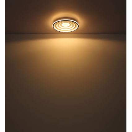 Globo - Светодиодный потолочный светильник LED/24W/230V