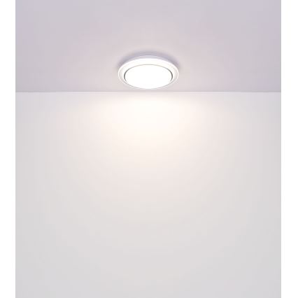 Globo - Светодиодный потолочный RGBW-светильник с регулированием яркости LED/24W/230V 2700-6500K + дистанционное управление