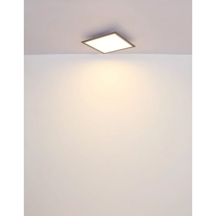 Globo - Стельовий LED світильник LED/24W/230V