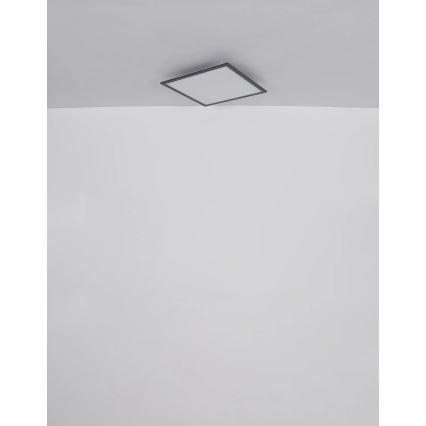 Globo - Светодиодный потолочный светильник LED/24W/230V