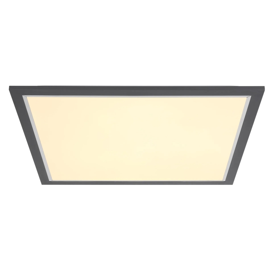Globo - Светодиодный потолочный светильник LED/24W/230V