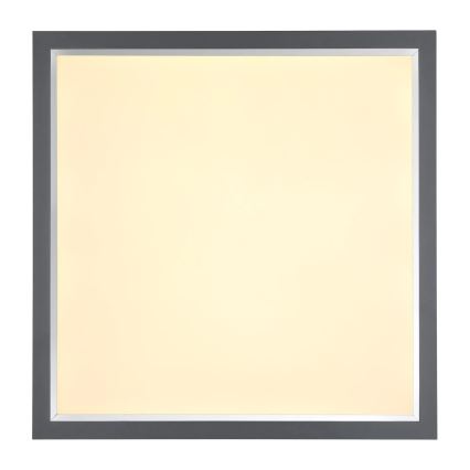 Globo - Светодиодный потолочный светильник LED/24W/230V