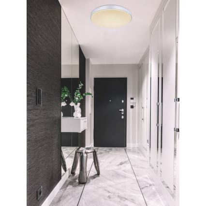 Globo - Светодиодный потолочный светильник с регулированием яркости LED/18W/230V 2700-6500K + дистанционное управление