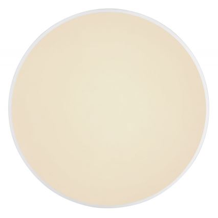 Globo - Светодиодный потолочный светильник с регулированием яркости LED/18W/230V 2700-6500K + дистанционное управление
