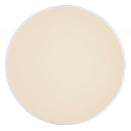 Globo - Светодиодный потолочный светильник с регулированием яркости LED/24W/230V + дистанционное управление