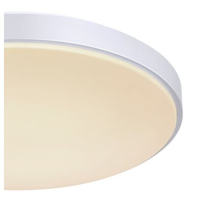 Globo - Светодиодный потолочный светильник с регулированием яркости LED/24W/230V + дистанционное управление