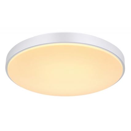 Globo - Світлодіодний стельовий світильник з регулюванням яскравості LED/24W/230V + пульт дистанційного керування