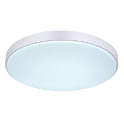 Globo - Світлодіодний стельовий світильник з регулюванням яскравості LED/24W/230V + пульт дистанційного керування