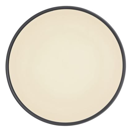 Globo - Світильник стельовий світлодіодний димований LED/18W/230V + дистанційне керування