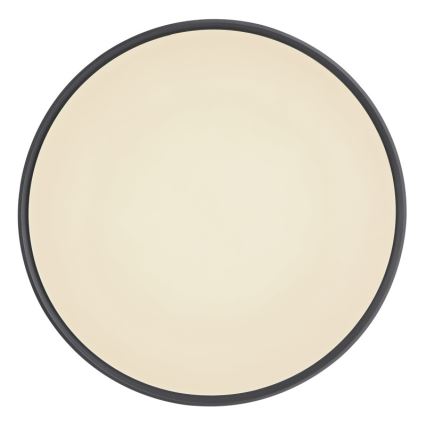 Globo - Світильник стельовий світлодіодний димований LED/24W/230V + дистанційне керування