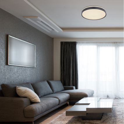 Globo - Светодиодный потолочный светильник с регулированием яркости LED/24W/230V + дистанционное управление