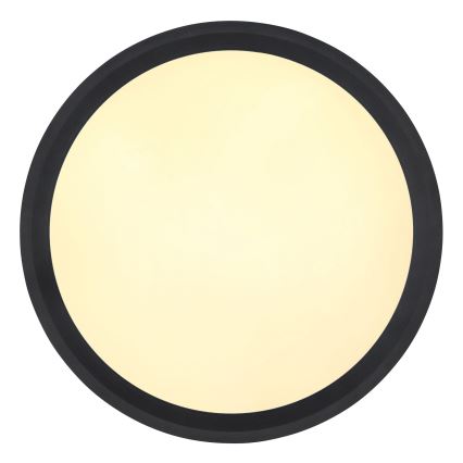 Globo - Светодиодный потолочный светильник LED/30W/230V диаметр 30 см