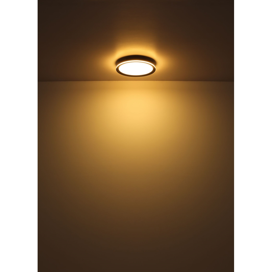 Globo - Светодиодный потолочный светильник LED/39 Вт/230 В, диаметр 40 см