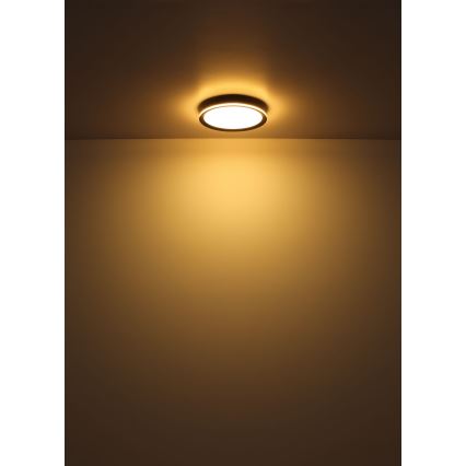 Globo - Стельовий LED світильник LED/58W/230V діаметр 50 cm