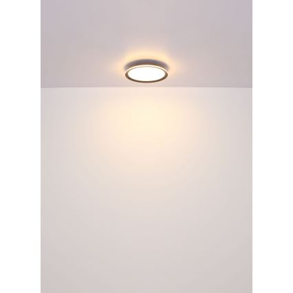 Globo - Стельовий LED світильник LED/58W/230V діаметр 50 cm