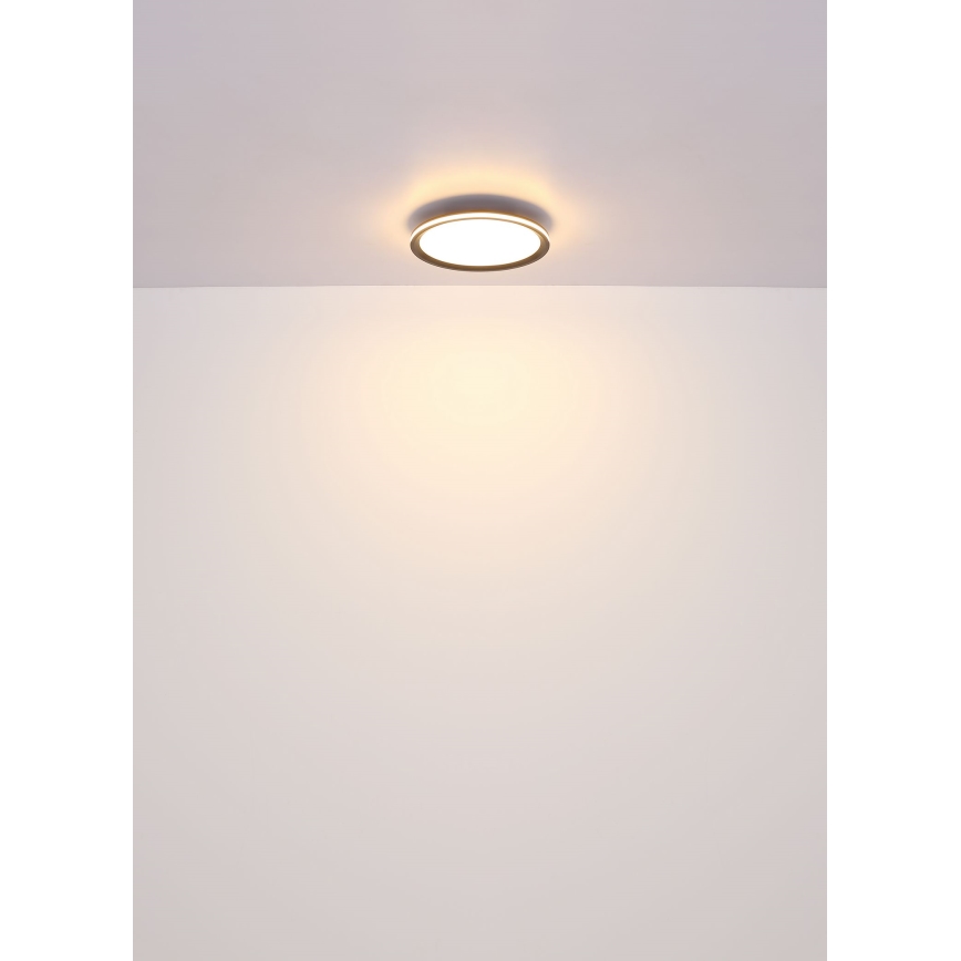 Globo - Стельовий LED світильник LED/58W/230V діаметр 50 cm