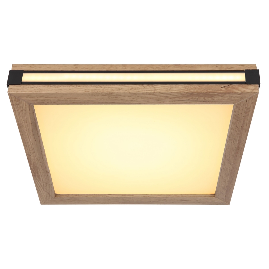 Globo - Стельовий LED світильник LED/12W/230V 30x30 см