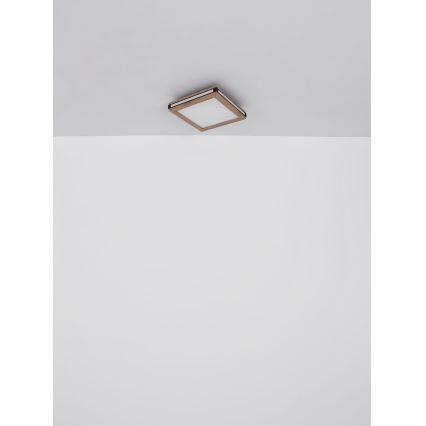 Globo - Светодиодный потолочный светильник LED/12W/230V 30x30 см