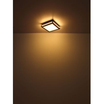 Globo - Стельовий LED світильник LED/24W/230V 45x45 см