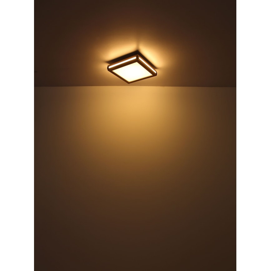 Globo - Стельовий LED світильник LED/24W/230V 45x45 см