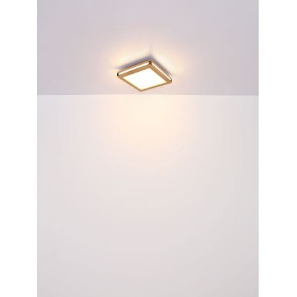 Globo - Стельовий LED світильник LED/24W/230V 45x45 см