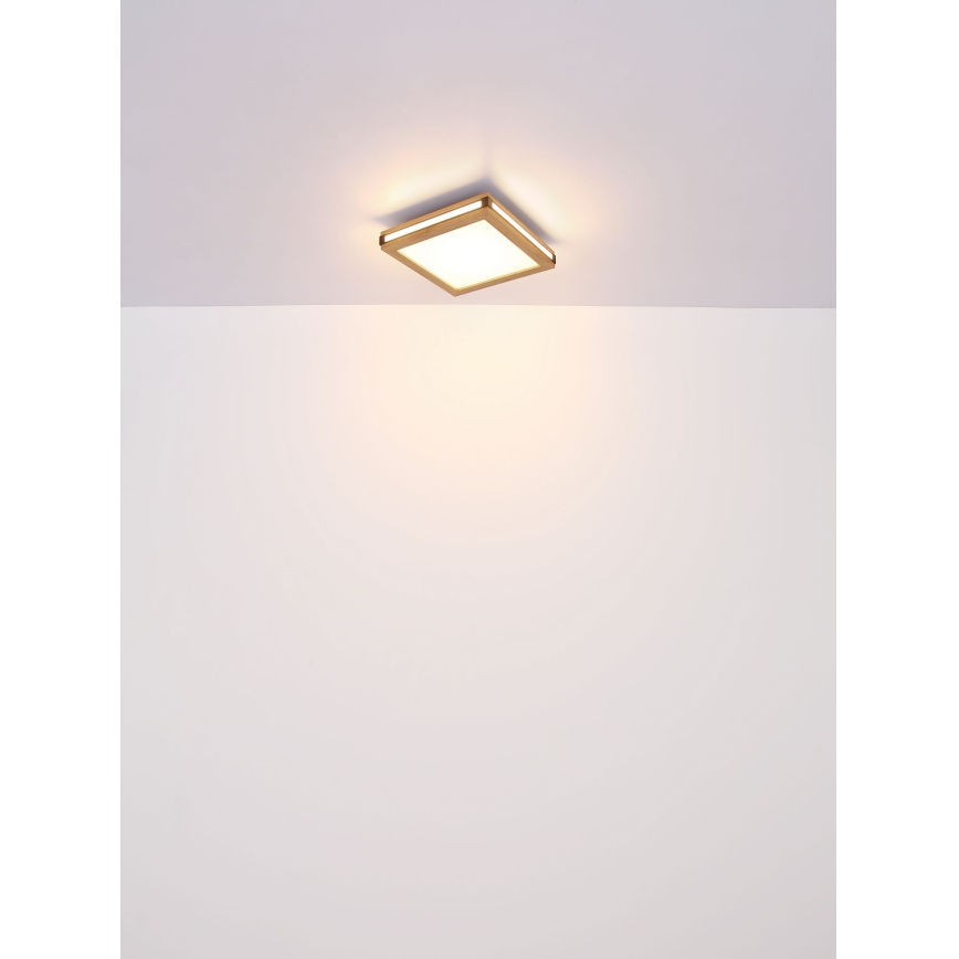 Globo - Стельовий LED світильник LED/24W/230V 45x45 см