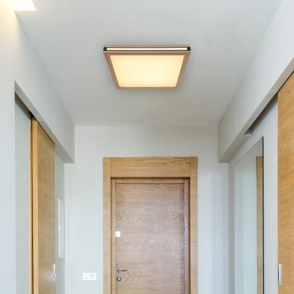 Globo - Светодиодный потолочный светильник LED/24W/230V 45x45 см