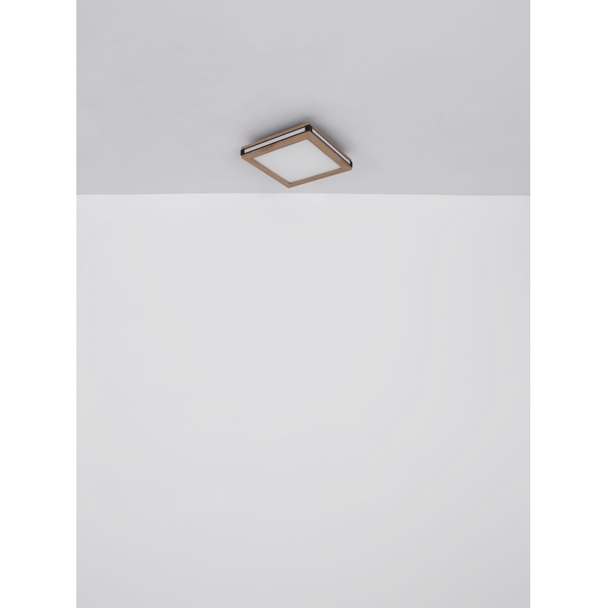 Globo - Светодиодный потолочный светильник LED/24W/230V 45x45 см