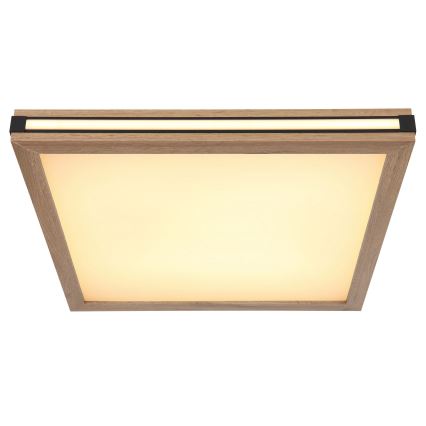 Globo - Светодиодный потолочный светильник LED/24W/230V 45x45 см