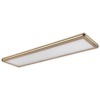 Globo - Светодиодный потолочный светильник с регулированием яркости LED/36W/230V 3000K 30x120 см