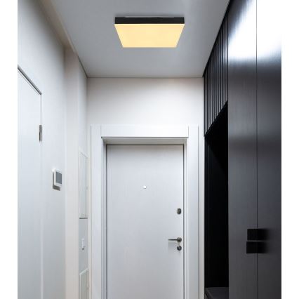Globo - Стельовий LED світильник LED/18W/230V 30x30 см чорний