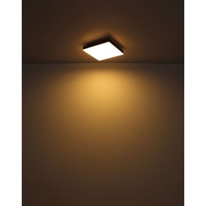 Globo - Светодиодный потолочный светильник с регулированием яркости LED/24W/230V 2700-6500K черный + дистанционное управление