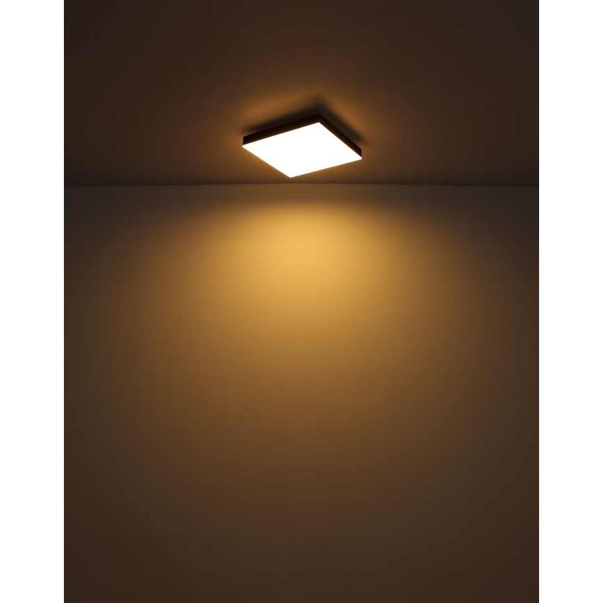 Globo - Светодиодный потолочный светильник с регулированием яркости LED/24W/230V 2700-6500K черный + дистанционное управление