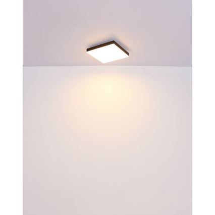 Globo - Светодиодный потолочный светильник с регулированием яркости LED/24W/230V 2700-6500K черный + дистанционное управление