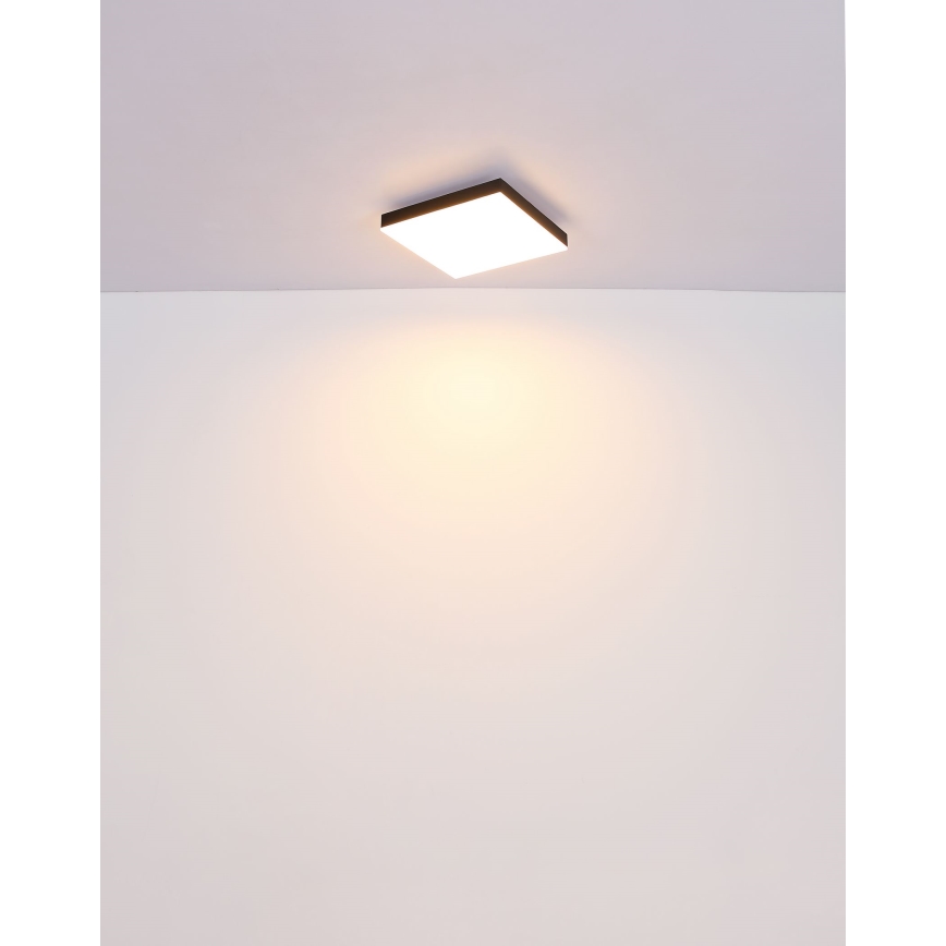 Globo - Светодиодный потолочный светильник с регулированием яркости LED/24W/230V 2700-6500K черный + дистанционное управление