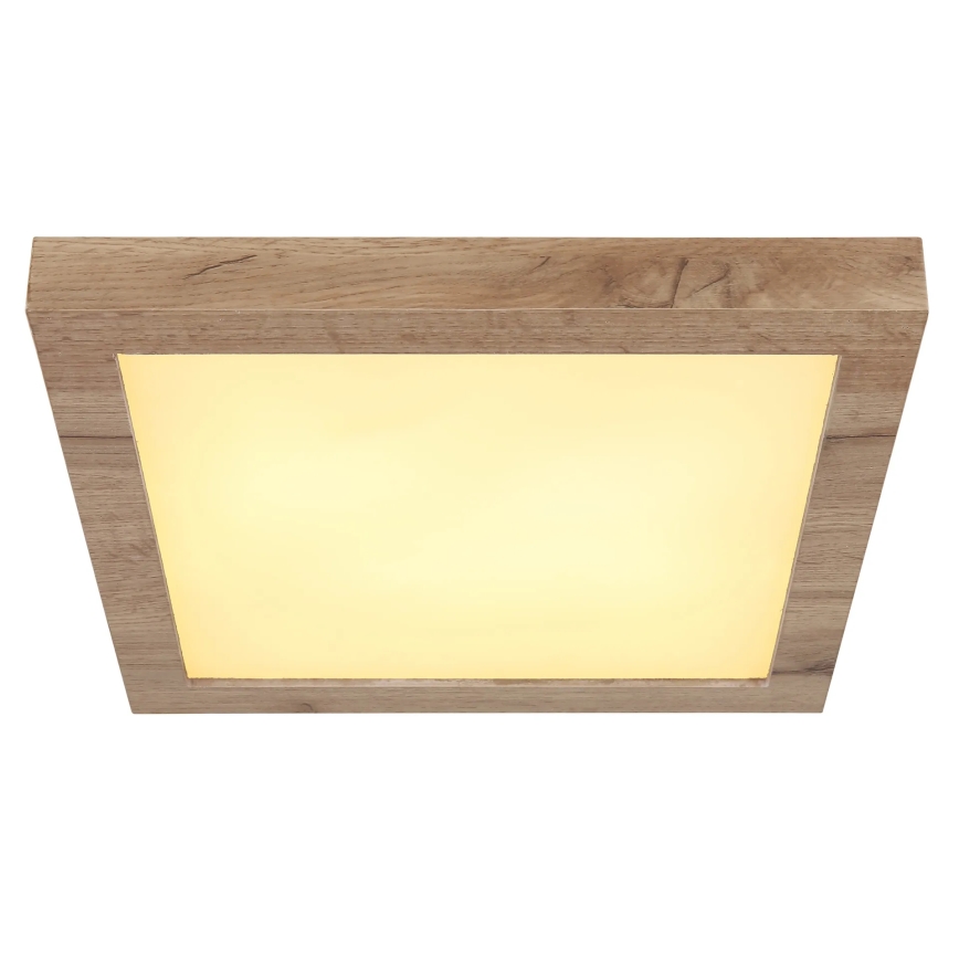 Globo - Стельовий LED світильник LED/16W/230V коричневий