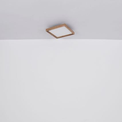 Globo - Стельовий LED світильник LED/12W/230V 2700/4500/6500K 30x30 см