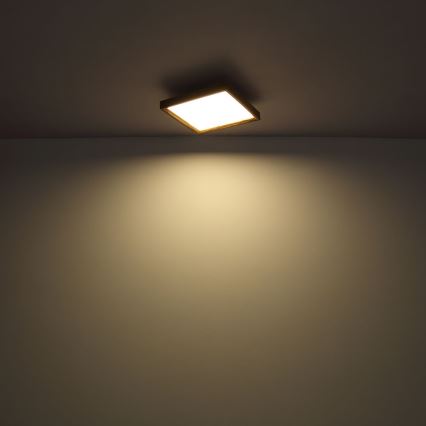 Globo - Светодиодный потолочный светильник LED/24W/230V 45см 2700/4500/6500K