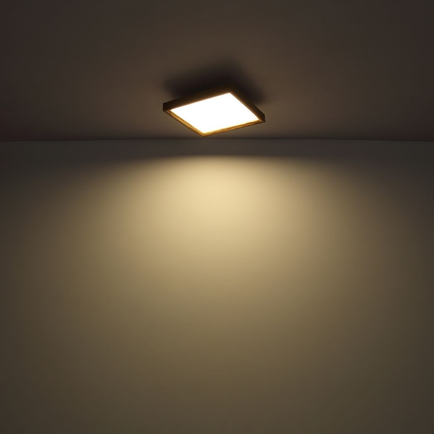 Globo - Светодиодный потолочный светильник LED/24W/230V 45см 2700/4500/6500K
