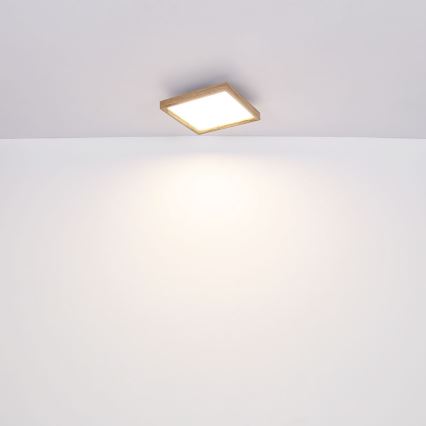 Globo - Светодиодный потолочный светильник LED/24W/230V 45см 2700/4500/6500K