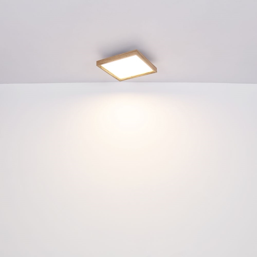 Globo - Светодиодный потолочный светильник LED/24W/230V 45см 2700/4500/6500K