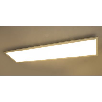 Globo - Накладна LED-панель LED/40W/230V