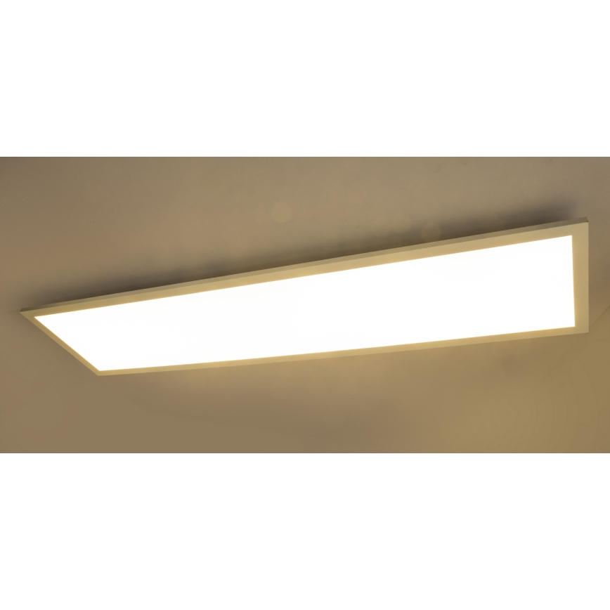 Globo - Накладна LED-панель LED/40W/230V