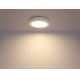 Globo - Светодиодный потолочный светильник для ванной комнаты 1xLED/12W/230V
