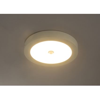 Globo - Вуличний світлодіодний стельовий світильник з датчиком 1xLED/18W/230V IP44