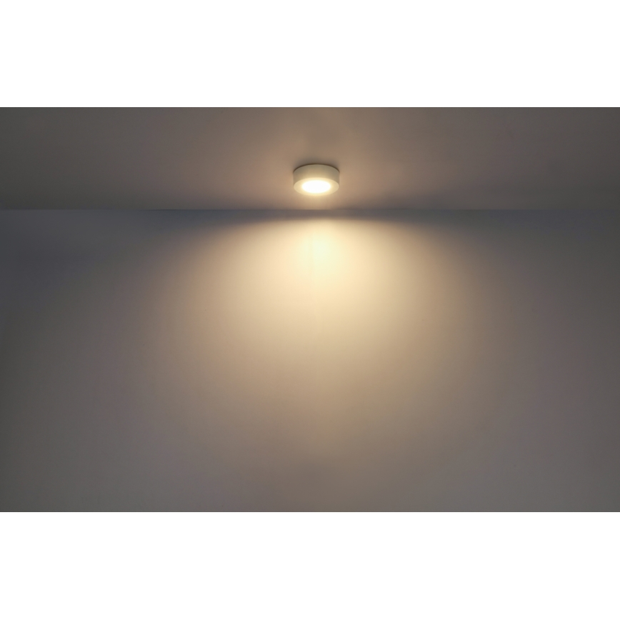 GLOBO - Стельовий LED світильник LED/6W/230V
