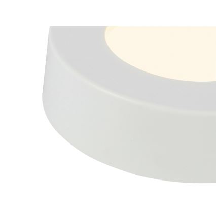 GLOBO - Стельовий LED світильник LED/6W/230V