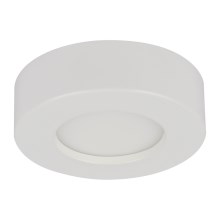 GLOBO 41605-9D - Светодиодный диммируемый светильник для ванной комнаты PAULA 1xLED/9W/230V