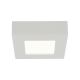GLOBO - Светодиодный потолочный светильник SVENJA 1xLED/6W/230V